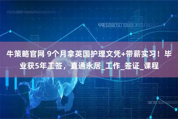 牛策略官网 9个月拿英国护理文凭+带薪实习！毕业获5年工签，直通永居_工作_签证_课程
