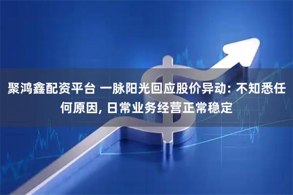 聚鸿鑫配资平台 一脉阳光回应股价异动: 不知悉任何原因, 日常业务经营正常稳定